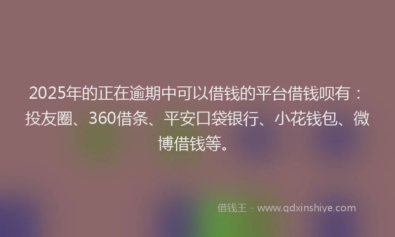 2025年的正在逾期中可以借钱的平台借钱呗有：投友圈、360借条、平安口袋银行、小花钱包、微博借钱等。