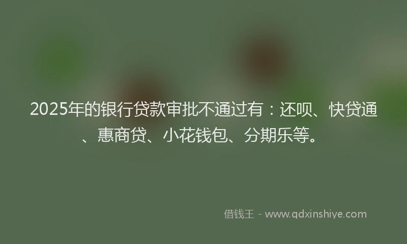 2025年的银行贷款审批不通过有：还呗、快贷通、惠商贷、小花钱包、分期乐等。
