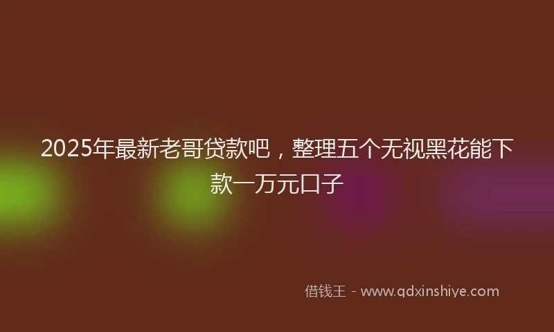 2025年最新老哥贷款吧，整理五个无视黑花能下款一万元口子