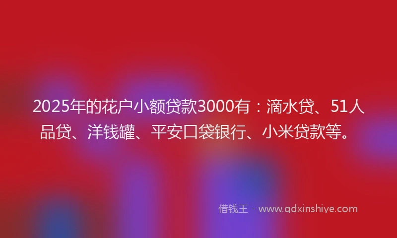 2025年的花户小额贷款3000有：滴水贷、51人品贷、洋钱罐、平安口袋银行、小米贷款等。