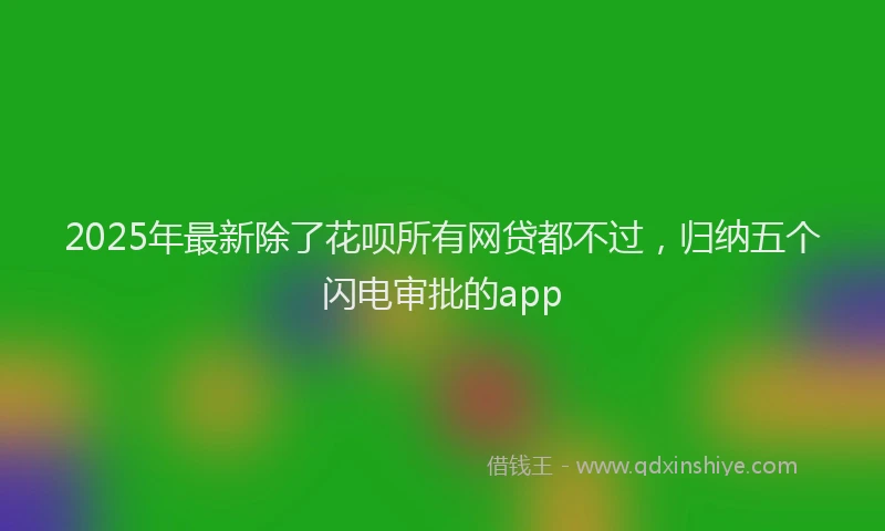 2025年最新除了花呗所有网贷都不过，归纳五个闪电审批的app
