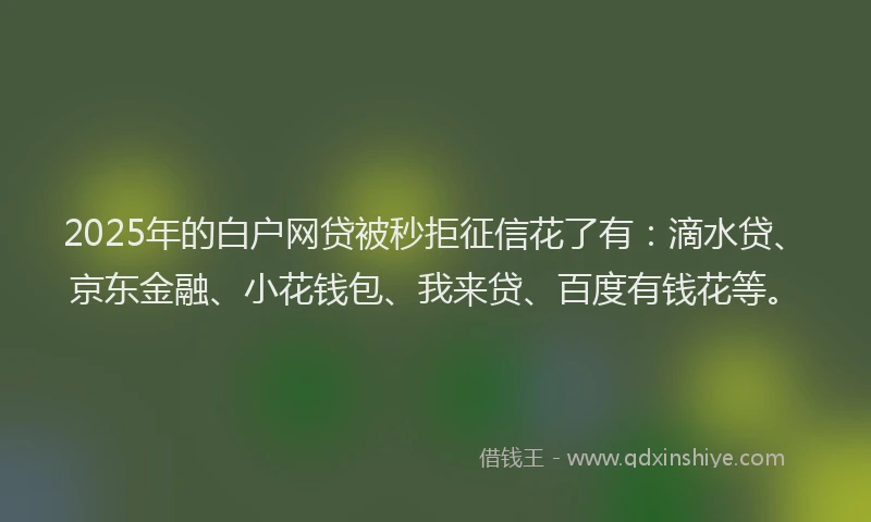 2025年的白户网贷被秒拒征信花了有：滴水贷、京东金融、小花钱包、我来贷、百度有钱花等。