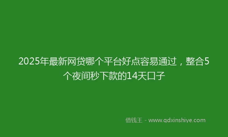 2025年最新网贷哪个平台好点容易通过，整合5个夜间秒下款的14天口子