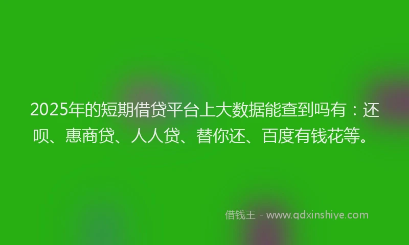 2025年的短期借贷平台上大数据能查到吗有：还呗、惠商贷、人人贷、替你还、百度有钱花等。
