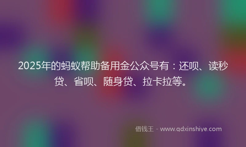 2025年的蚂蚁帮助备用金公众号有：还呗、读秒贷、省呗、随身贷、拉卡拉等。
