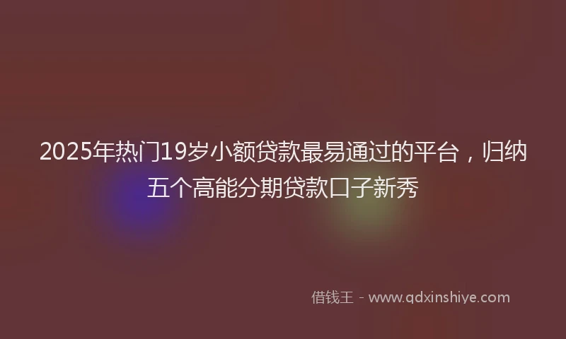 2025年热门19岁小额贷款最易通过的平台，归纳五个高能分期贷款口子新秀