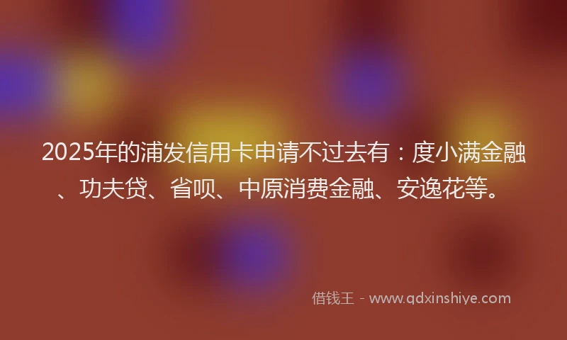 2025年的浦发信用卡申请不过去有：度小满金融、功夫贷、省呗、中原消费金融、安逸花等。