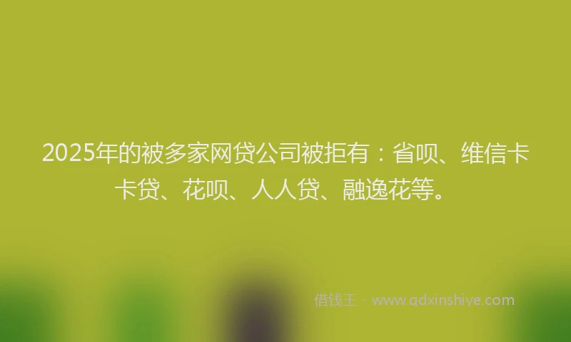 2025年的被多家网贷公司被拒有：省呗、维信卡卡贷、花呗、人人贷、融逸花等。