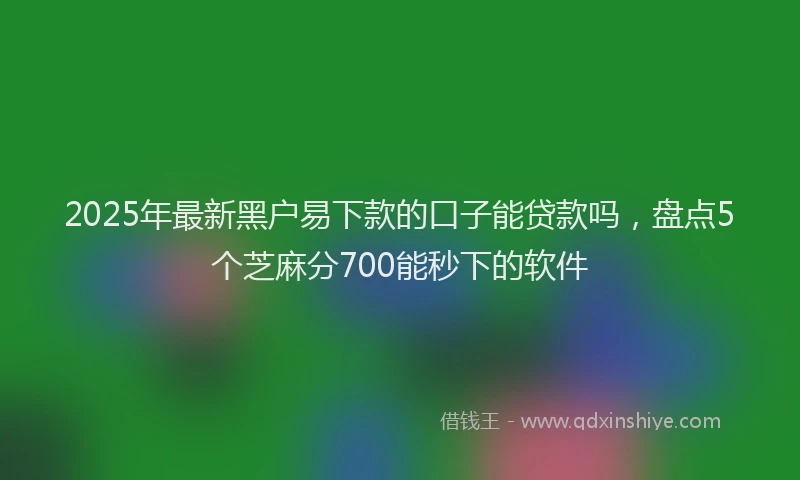 2025年最新黑户易下款的口子能贷款吗，盘点5个芝麻分700能秒下的软件