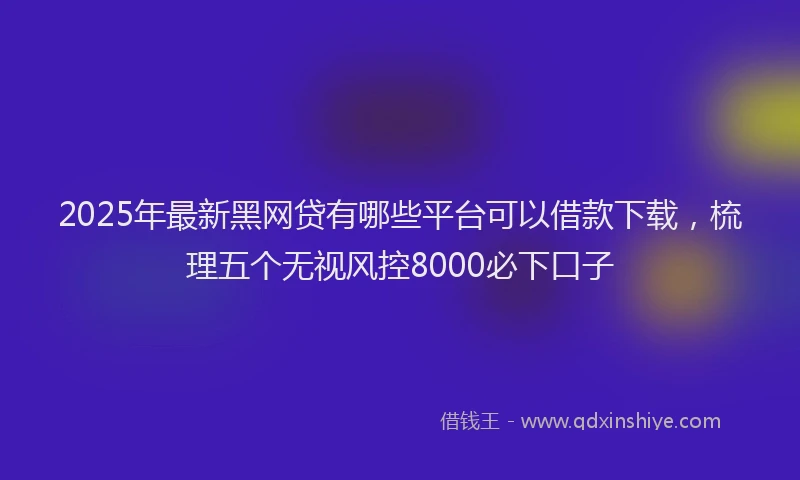 2025年最新黑网贷有哪些平台可以借款下载，梳理五个无视风控8000必下口子