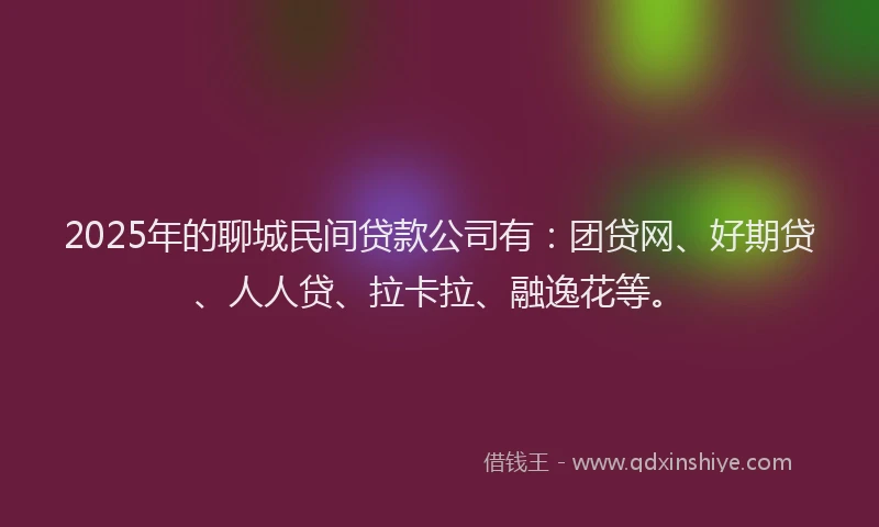 2025年的聊城民间贷款公司有：团贷网、好期贷、人人贷、拉卡拉、融逸花等。