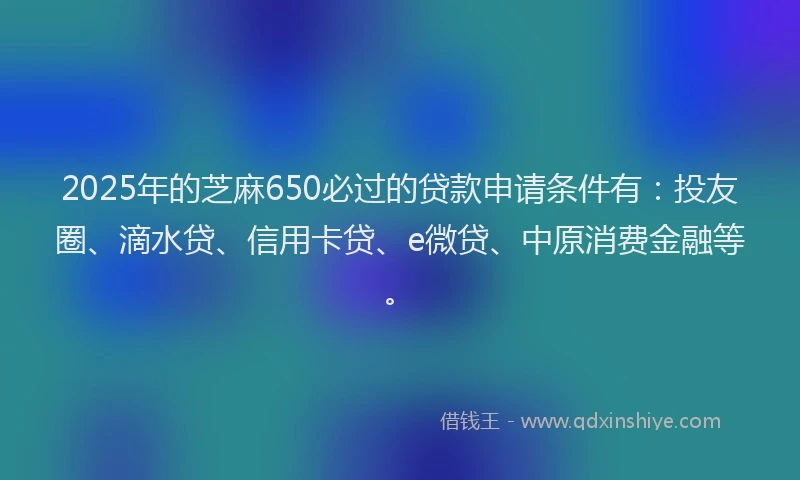 2025年的芝麻650必过的贷款申请条件有：投友圈、滴水贷、信用卡贷、e微贷、中原消费金融等。