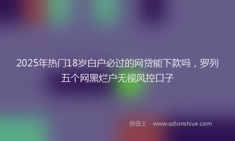 2025年热门18岁白户必过的网贷能下款吗，罗列五个网黑烂户无视风控口子