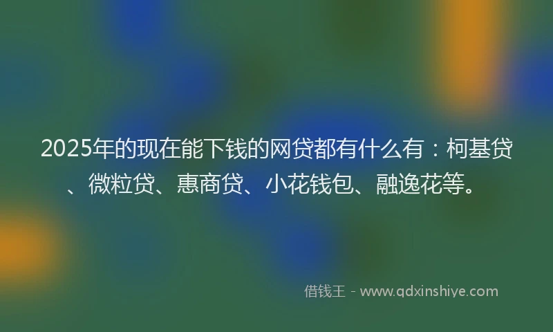 2025年的现在能下钱的网贷都有什么有：柯基贷、微粒贷、惠商贷、小花钱包、融逸花等。
