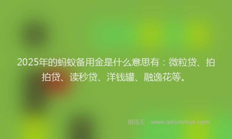 2025年的蚂蚁备用金是什么意思有：微粒贷、拍拍贷、读秒贷、洋钱罐、融逸花等。