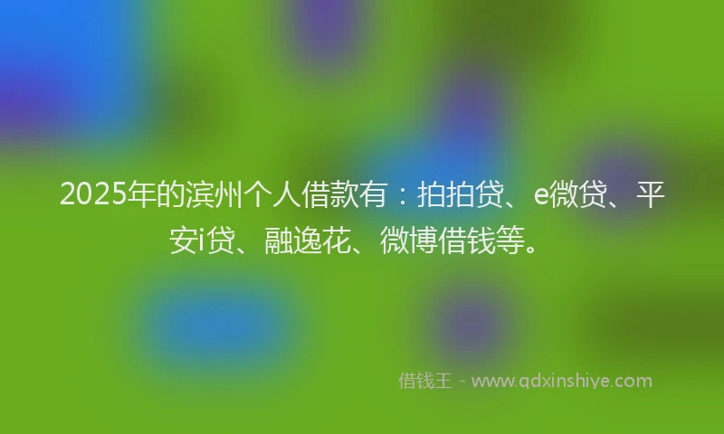 2025年的滨州个人借款有：拍拍贷、e微贷、平安i贷、融逸花、微博借钱等。