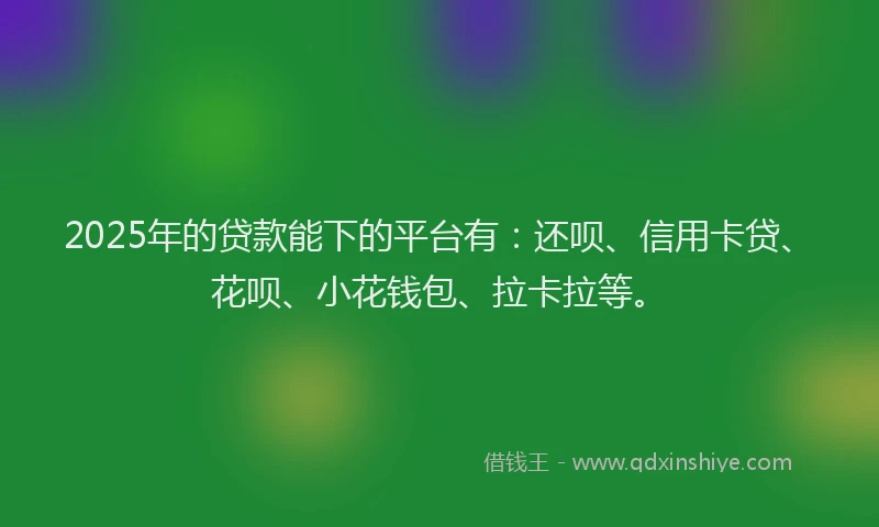 2025年的贷款能下的平台有：还呗、信用卡贷、花呗、小花钱包、拉卡拉等。