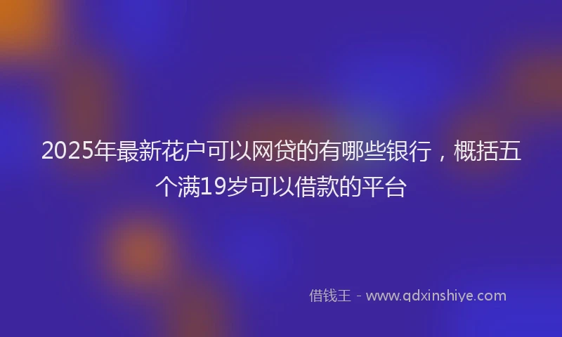 2025年最新花户可以网贷的有哪些银行，概括五个满19岁可以借款的平台