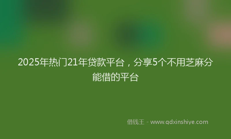 2025年热门21年贷款平台，分享5个不用芝麻分能借的平台