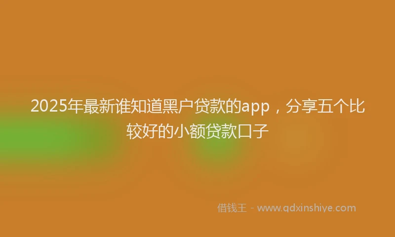 2025年最新谁知道黑户贷款的app，分享五个比较好的小额贷款口子