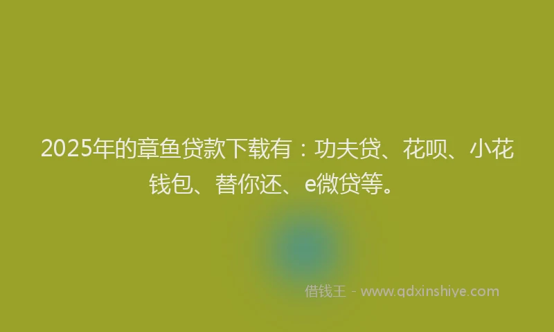 2025年的章鱼贷款下载有：功夫贷、花呗、小花钱包、替你还、e微贷等。