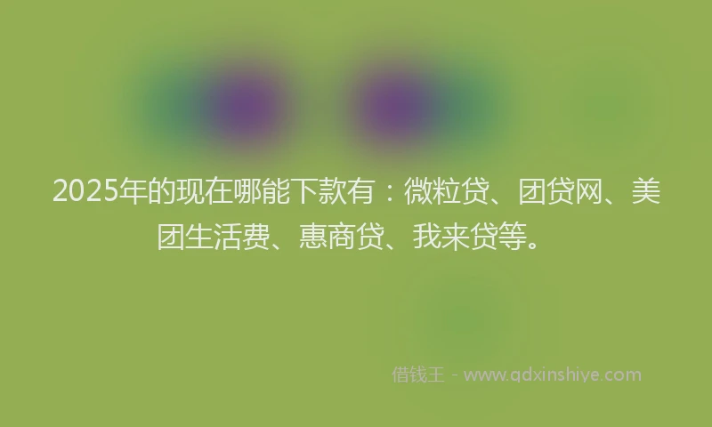 2025年的现在哪能下款有：微粒贷、团贷网、美团生活费、惠商贷、我来贷等。