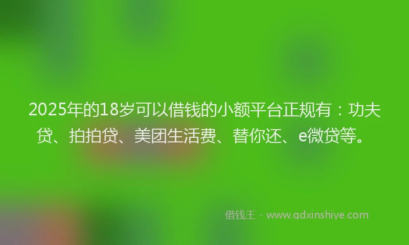 2025年的18岁可以借钱的小额平台正规有：功夫贷、拍拍贷、美团生活费、替你还、e微贷等。