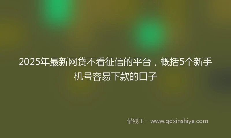 2025年最新网贷不看征信的平台，概括5个新手机号容易下款的口子