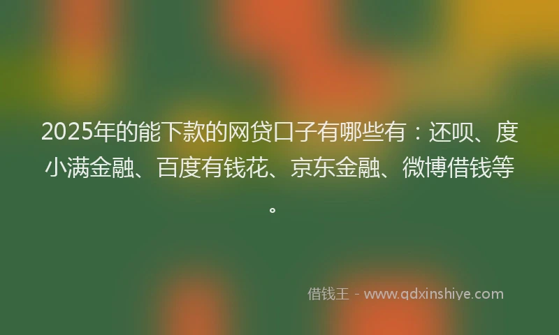 2025年的能下款的网贷口子有哪些有：还呗、度小满金融、百度有钱花、京东金融、微博借钱等。