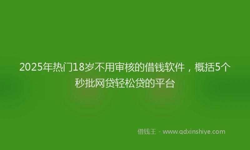 2025年热门18岁不用审核的借钱软件，概括5个秒批网贷轻松贷的平台