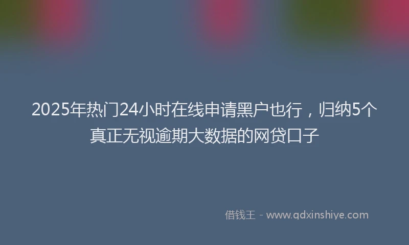 2025年热门24小时在线申请黑户也行，归纳5个真正无视逾期大数据的网贷口子