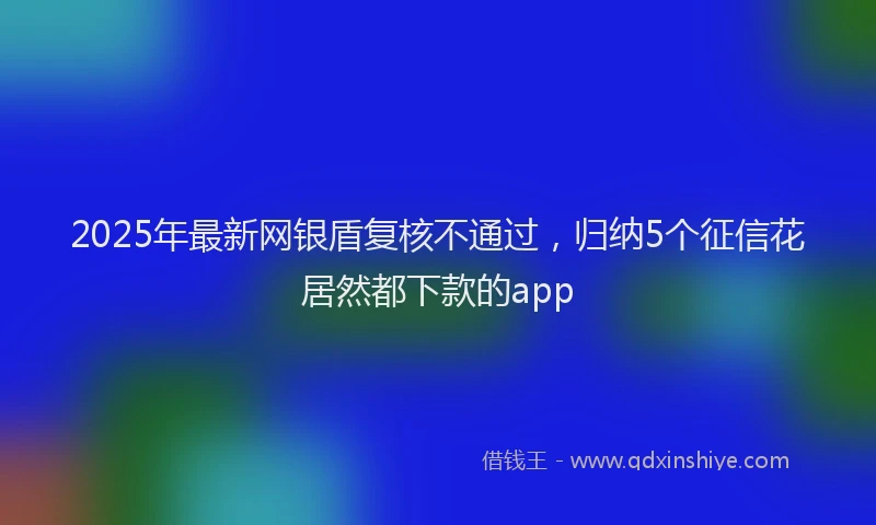 2025年最新网银盾复核不通过，归纳5个征信花居然都下款的app