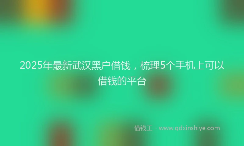 2025年最新武汉黑户借钱，梳理5个手机上可以借钱的平台