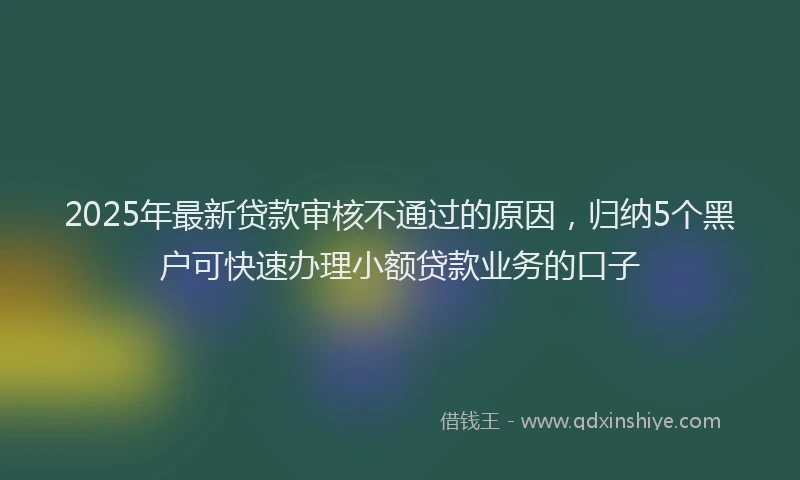 2025年最新贷款审核不通过的原因，归纳5个黑户可快速办理小额贷款业务的口子