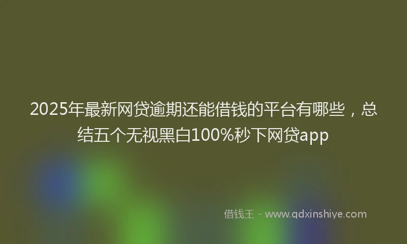 2025年最新网贷逾期还能借钱的平台有哪些，总结五个无视黑白100%秒下网贷app