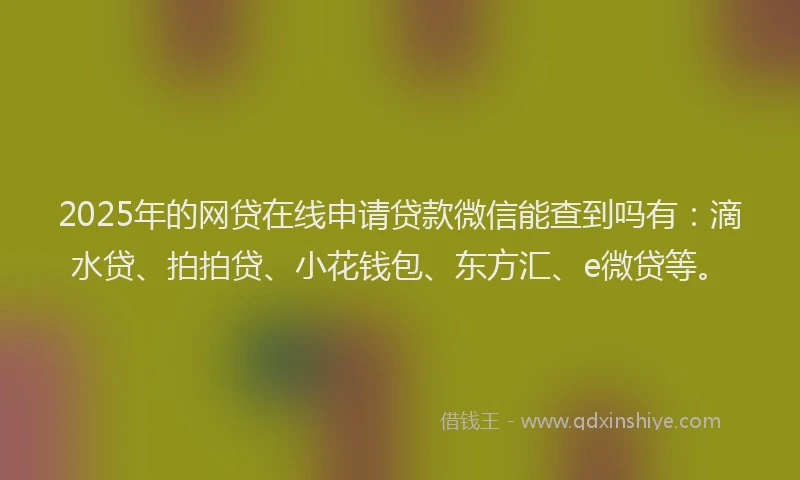 2025年的网贷在线申请贷款微信能查到吗有：滴水贷、拍拍贷、小花钱包、东方汇、e微贷等。