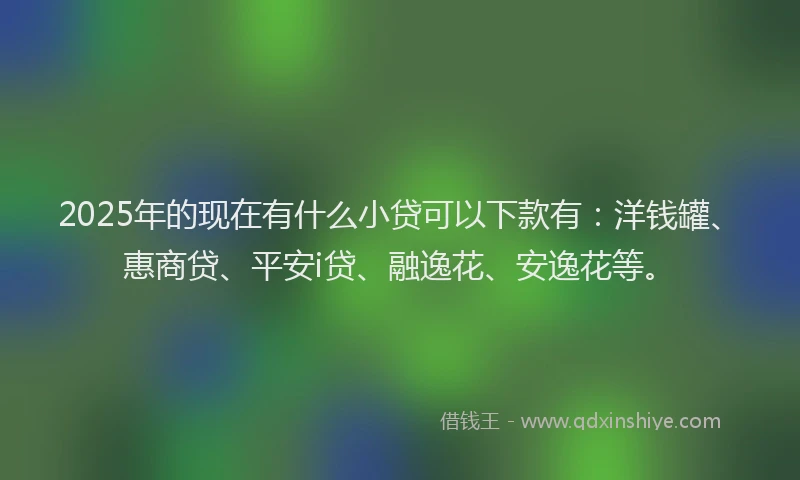 2025年的现在有什么小贷可以下款有：洋钱罐、惠商贷、平安i贷、融逸花、安逸花等。
