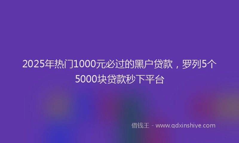 2025年热门1000元必过的黑户贷款，罗列5个5000块贷款秒下平台