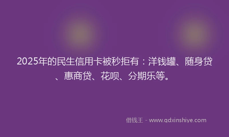 2025年的民生信用卡被秒拒有：洋钱罐、随身贷、惠商贷、花呗、分期乐等。