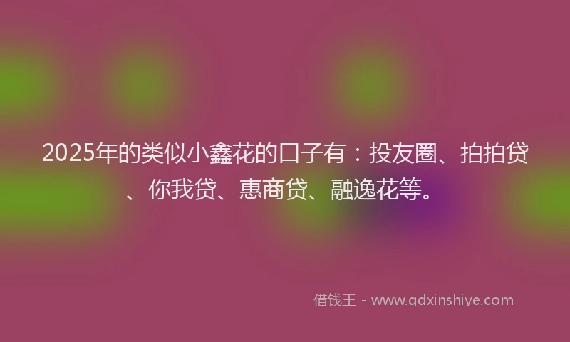 2025年的类似小鑫花的口子有：投友圈、拍拍贷、你我贷、惠商贷、融逸花等。