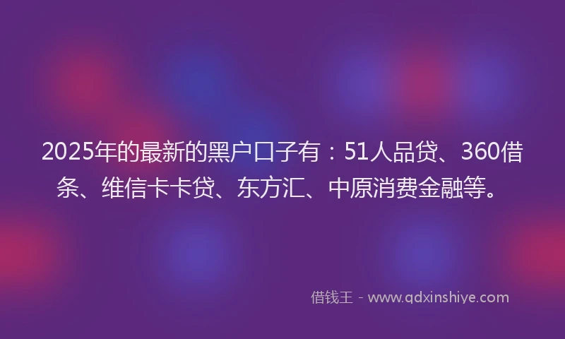 2025年的最新的黑户口子有：51人品贷、360借条、维信卡卡贷、东方汇、中原消费金融等。