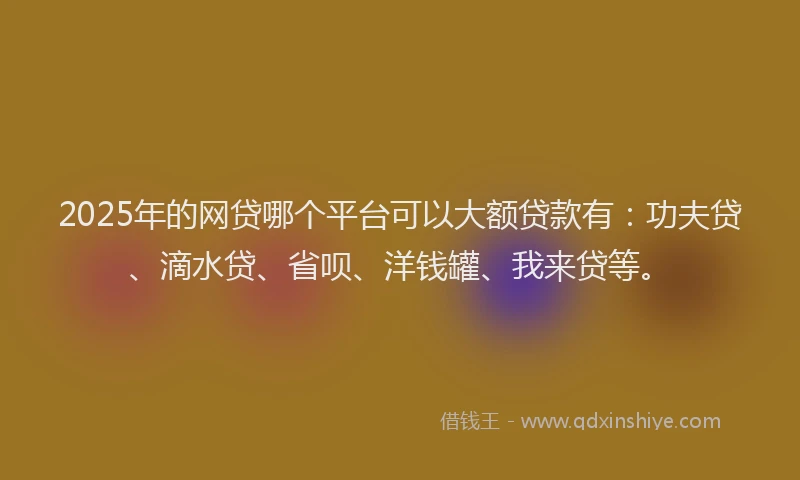 2025年的网贷哪个平台可以大额贷款有：功夫贷、滴水贷、省呗、洋钱罐、我来贷等。
