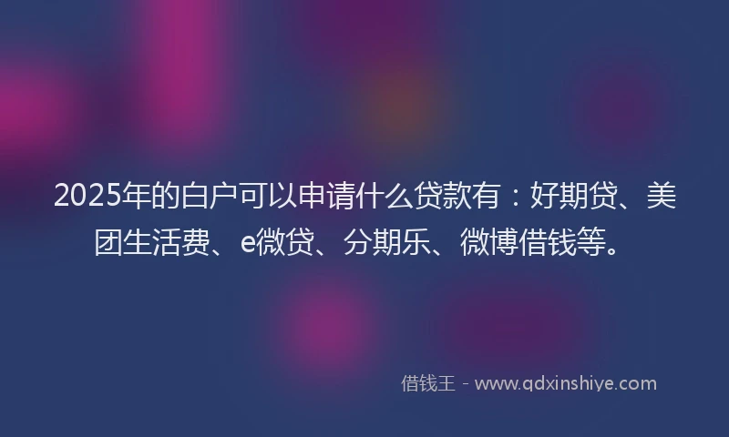 2025年的白户可以申请什么贷款有：好期贷、美团生活费、e微贷、分期乐、微博借钱等。