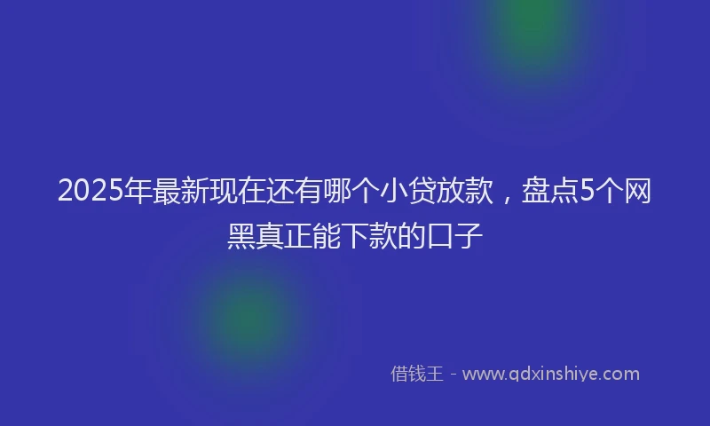 2025年最新现在还有哪个小贷放款，盘点5个网黑真正能下款的口子