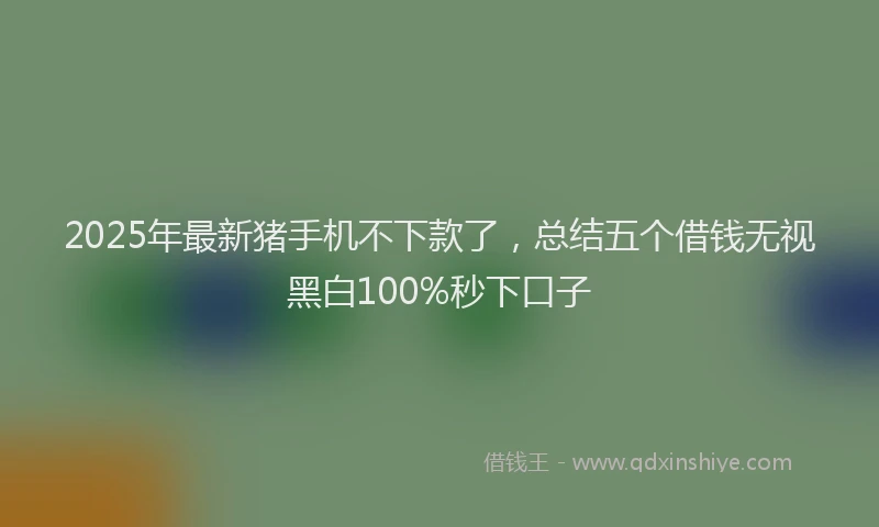 2025年最新猪手机不下款了，总结五个借钱无视黑白100%秒下口子