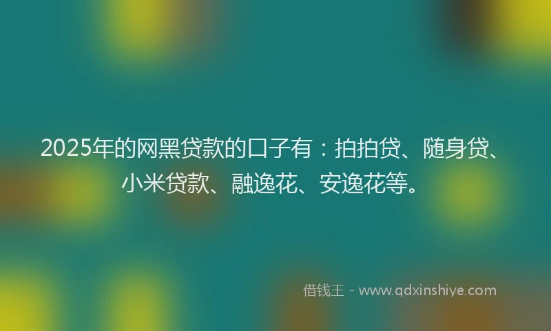 2025年的网黑贷款的口子有：拍拍贷、随身贷、小米贷款、融逸花、安逸花等。