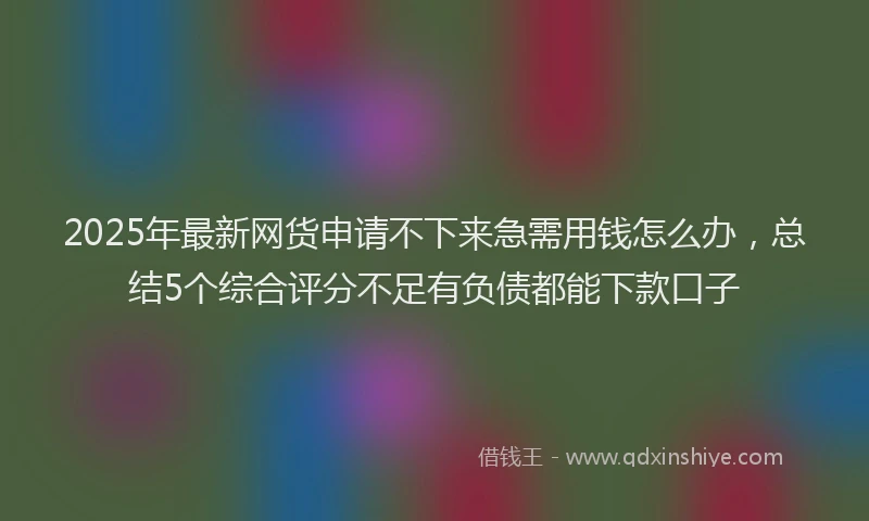 2025年最新网货申请不下来急需用钱怎么办，总结5个综合评分不足有负债都能下款口子