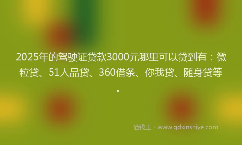 2025年的驾驶证贷款3000元哪里可以贷到有：微粒贷、51人品贷、360借条、你我贷、随身贷等。
