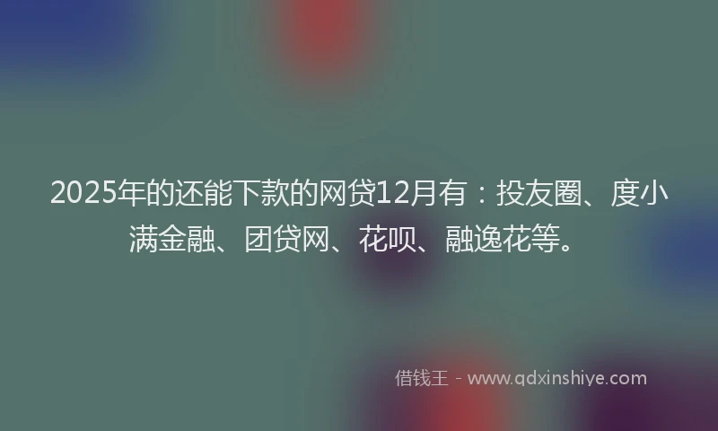 2025年的还能下款的网贷12月有：投友圈、度小满金融、团贷网、花呗、融逸花等。