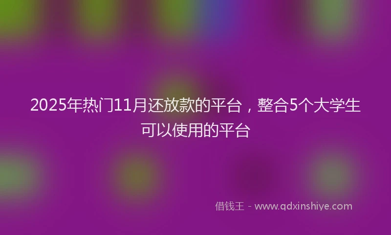 2025年热门11月还放款的平台，整合5个大学生可以使用的平台